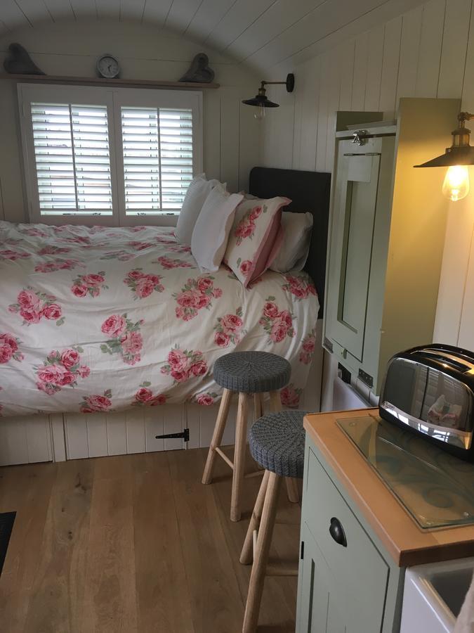 Downsfield Bed And Breakfast St Ives Exteriör bild